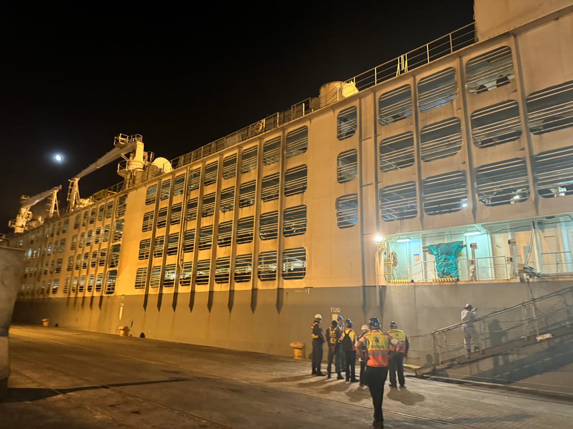 A side view of live export ship Al Kuwait, showing level upon level of cattle who are being exported alive.