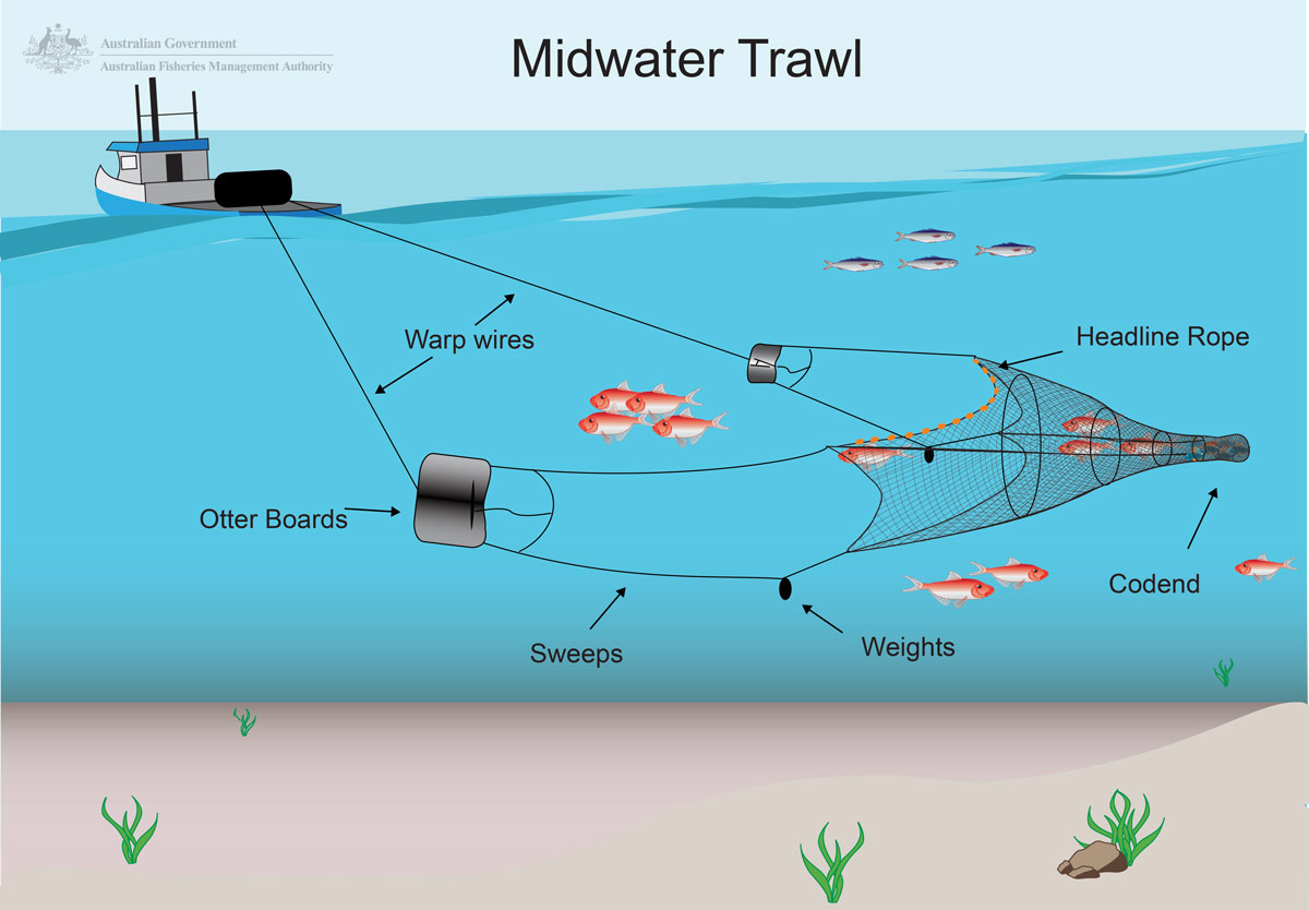 A graphic of a commercial fishing vessel dragging a huge trawl net through the sea.