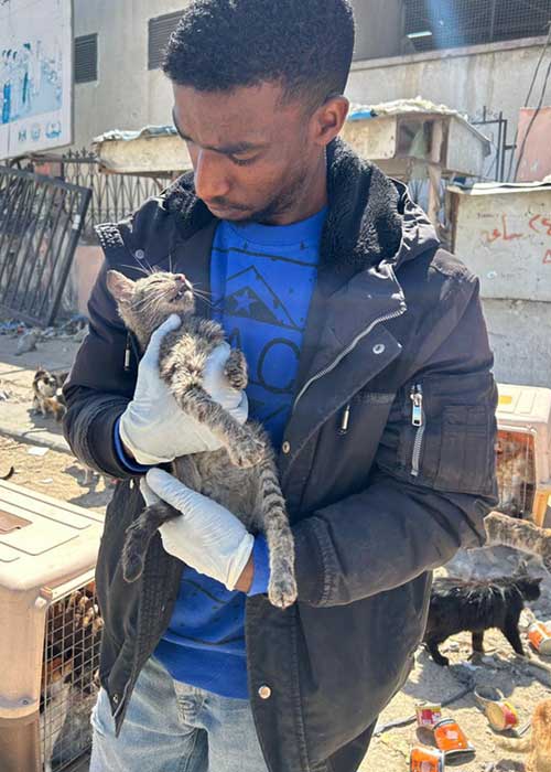 Saed from Sulala Animal Rescue holds a rescued cat in Gaza.
