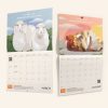 Two pages of the Animals Australia calendar, one with an illustration of two sheep and one with an illustration of a hen dustbathing.