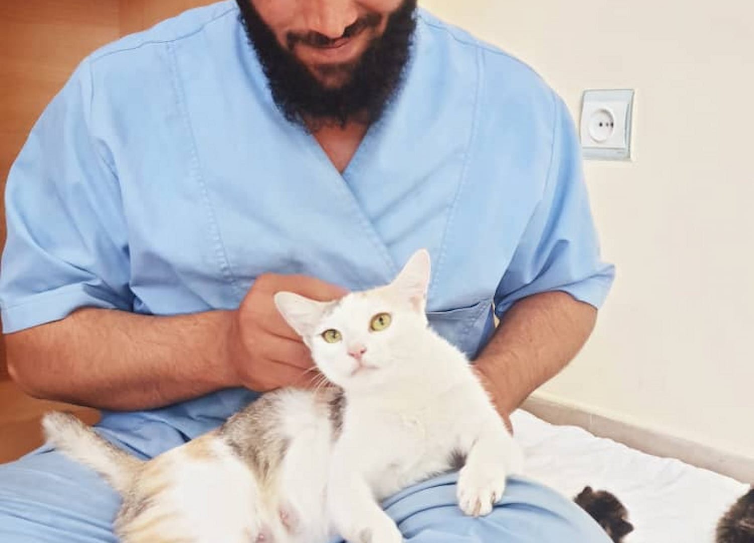 A KSAR vet holds a rescued cat gently in his lap and is smiling down at him