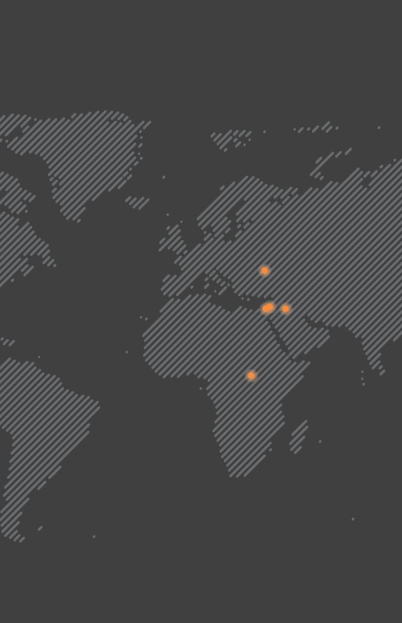 A flat graphic of a world map with areas that Animals Australia has provided emergency grants highlighted.