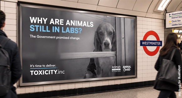 A mock-up of a billboard in the London underground showing a beagle in a lab, with the words 'why are animals still in labs'?