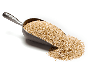 Quinoa image