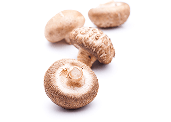 Mushrooms image