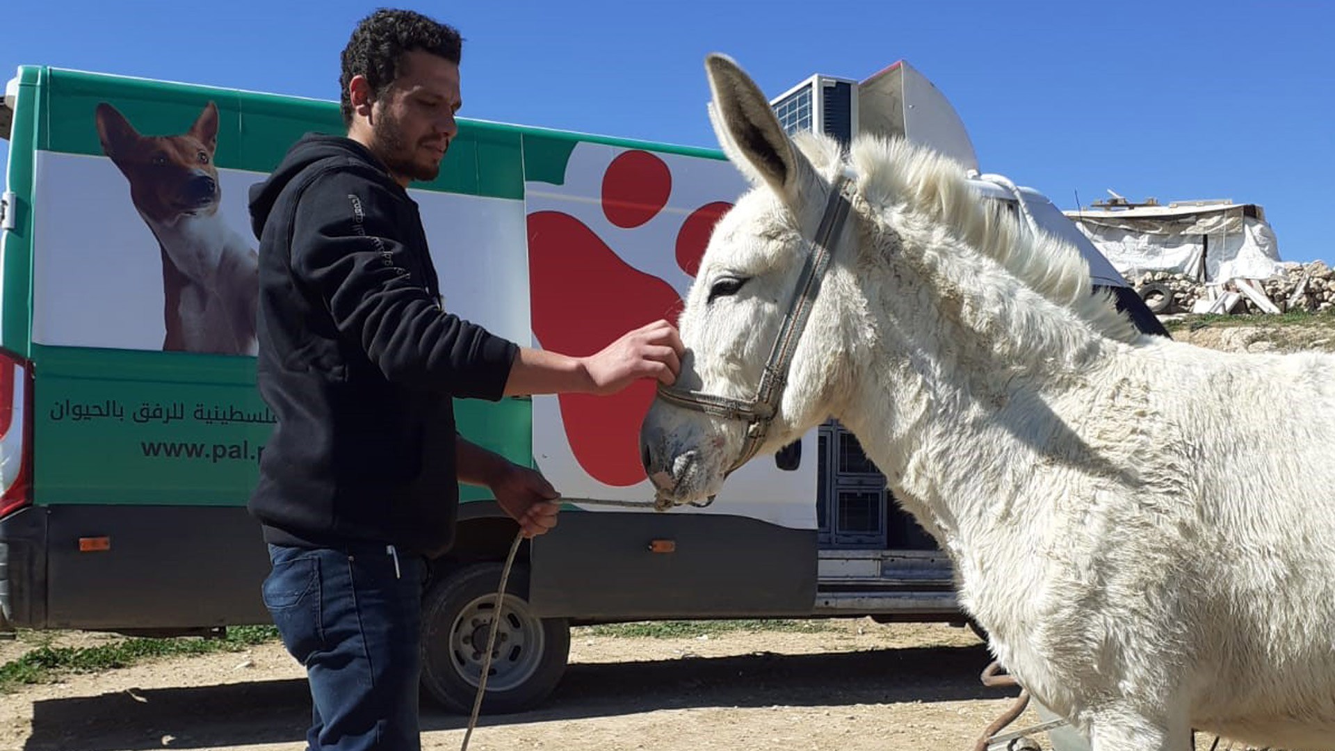 Man with gentle hand on Donkey's face