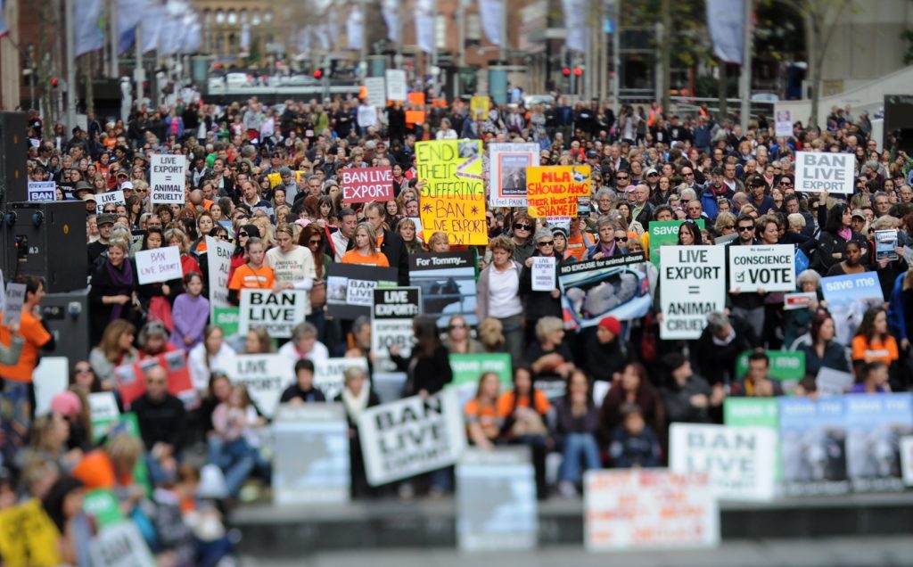 Thousands of people protesting against live export